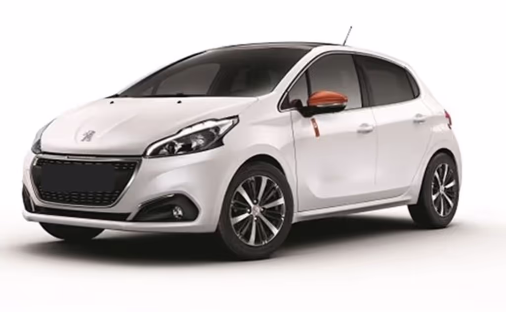 Stockholm Private Tour - Example of car