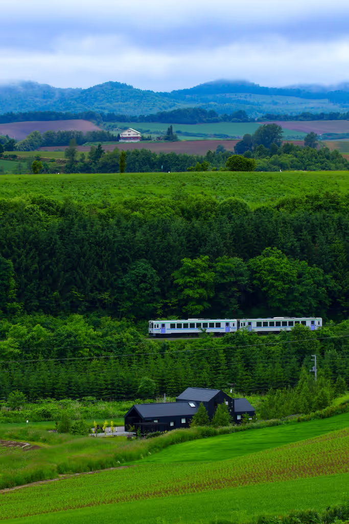 Sapporo Private Tour - 