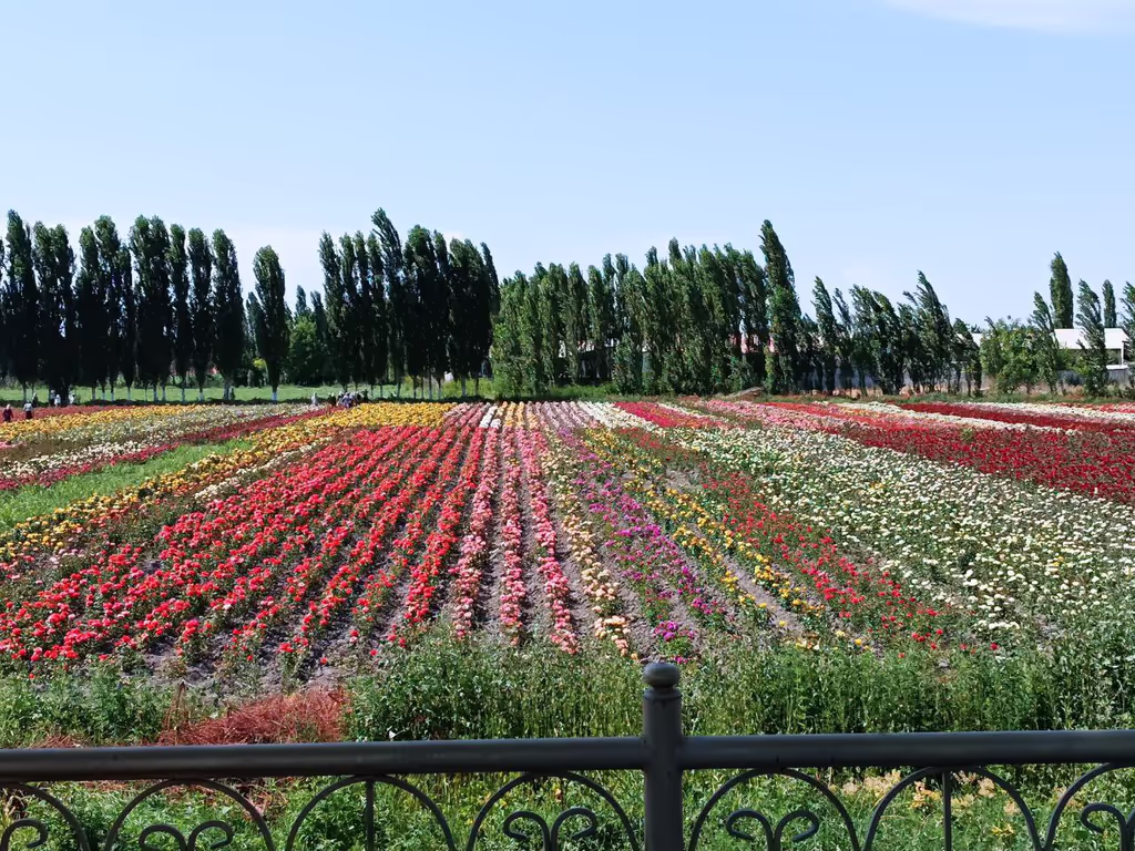 Farghona Private Tour - 