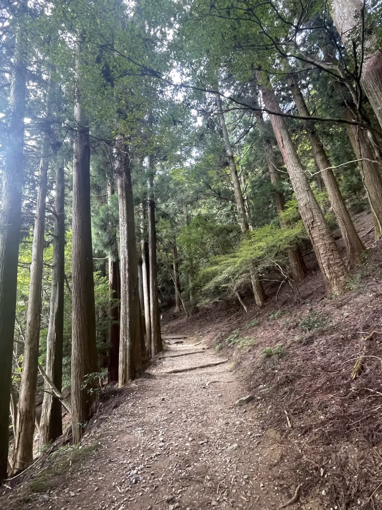 Kyoto Private Tour - mountain trail leads to Atago shrine
