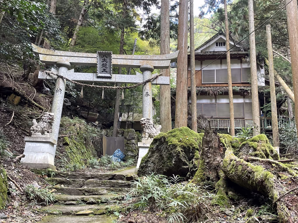 Kyoto Private Tour - Kuya waterfall – torii gate at the hidden valley