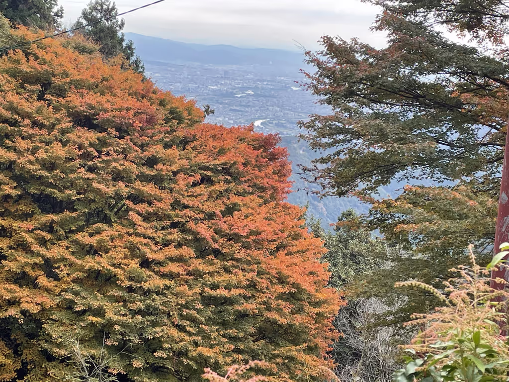 Kyoto Private Tour - Tsukinowa dera temple – beautiful scenery in autum
