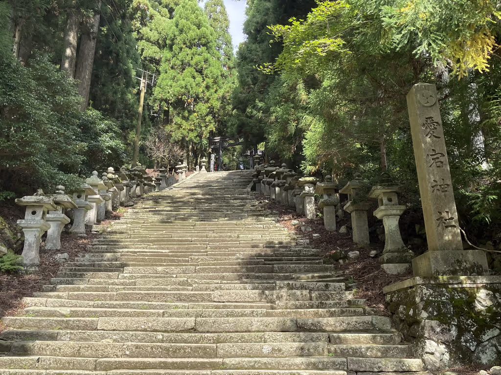 Kyoto Private Tour - Atago shrine - steps to the worship hall