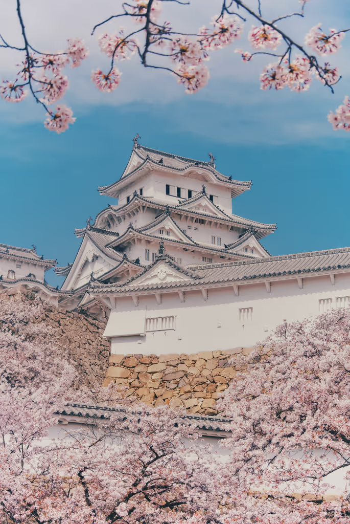 Himeji Private Tour - 