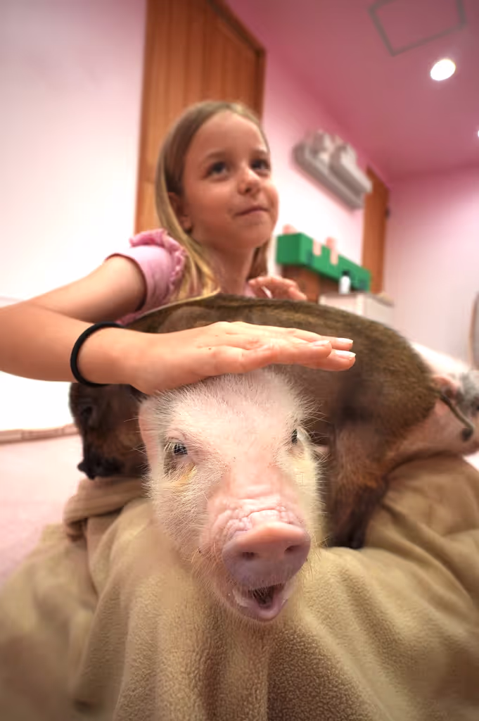 Tokyo Private Tour - 