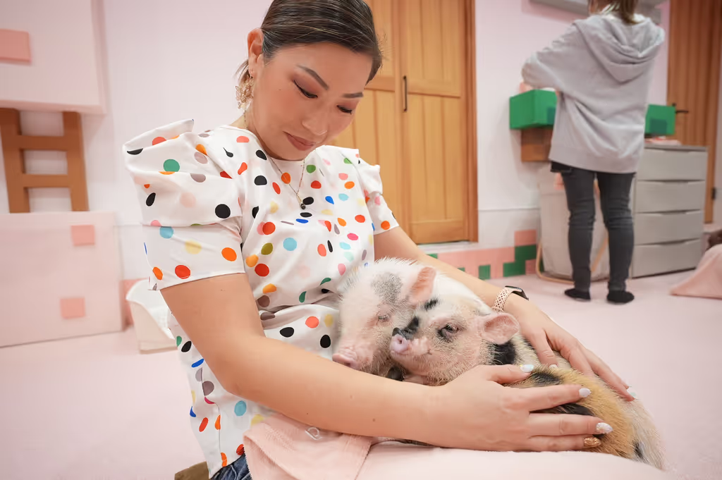 Tokyo Private Tour - 