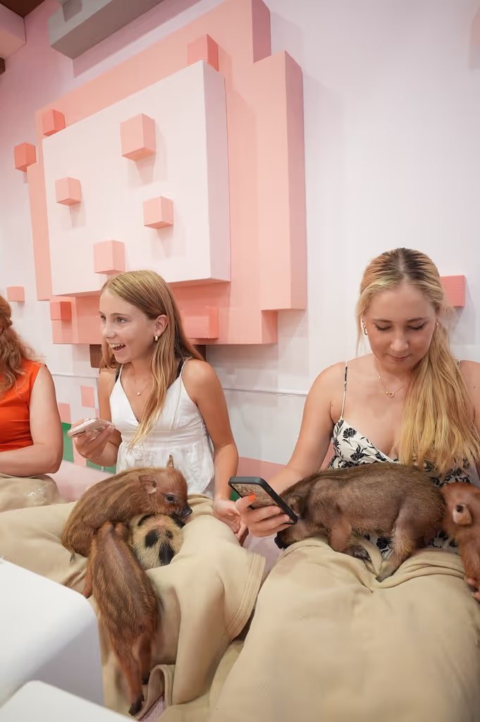 Tokyo Private Tour - 