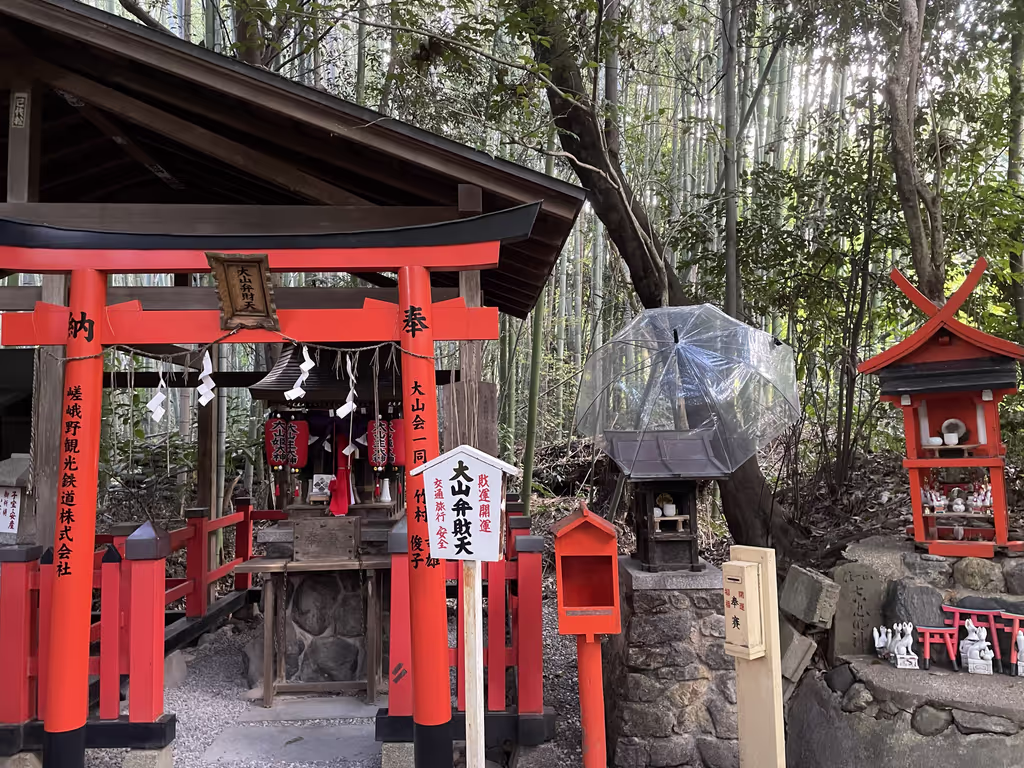 Kyoto Private Tour - Nonomiya shrine – Deity for wealth and safety
