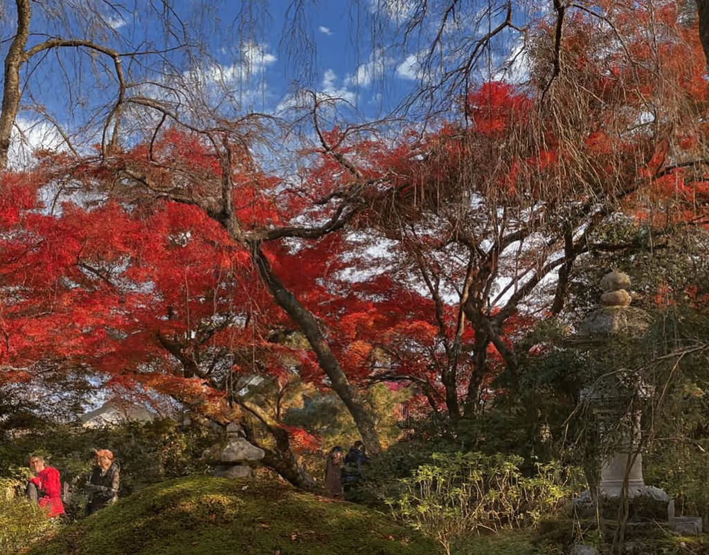 Kyoto Private Tour - Tenryuji-temple – Pristine autumn foliage