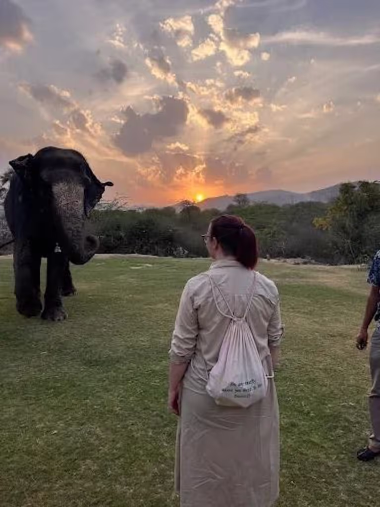 Jaipur Private Tour - 