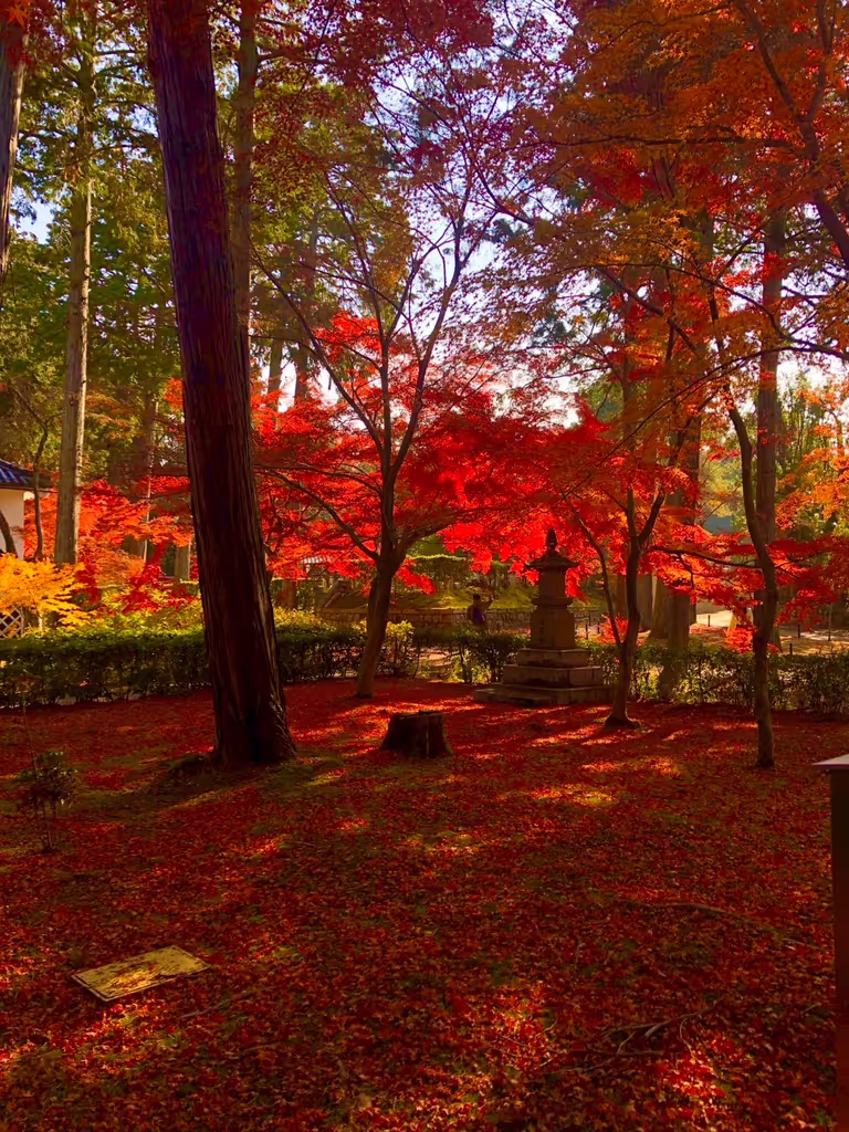 Kyoto Private Tour - 