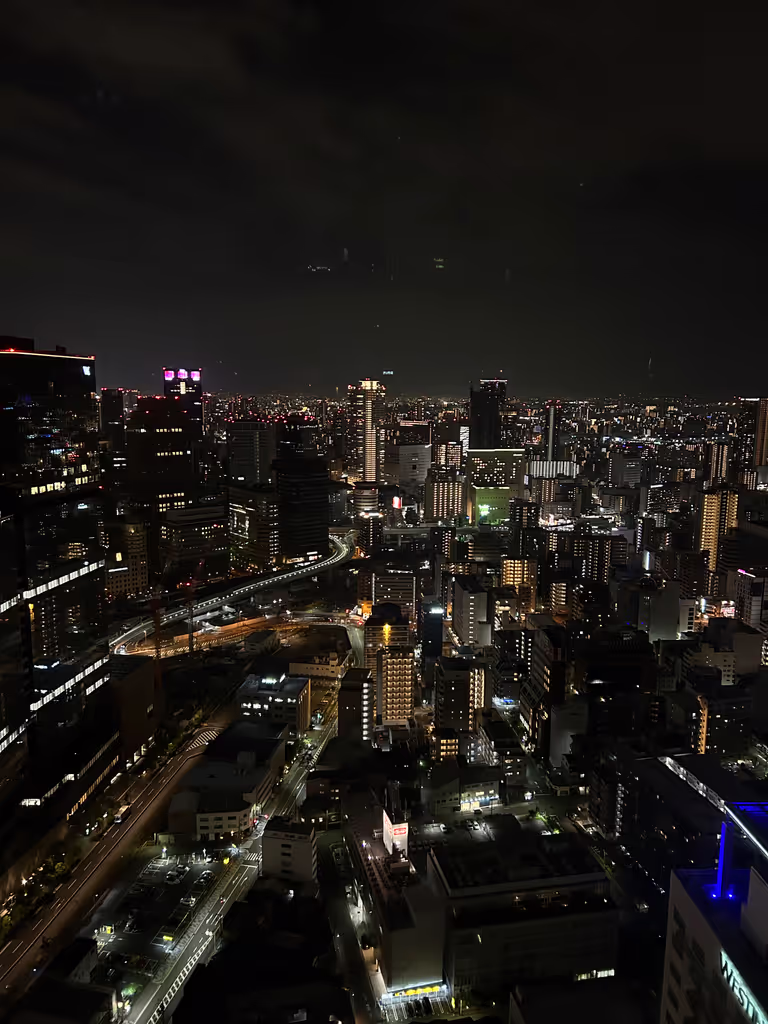 Osaka Private Tour - 