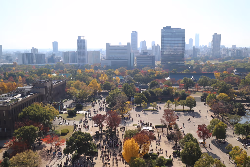 Osaka Private Tour - 