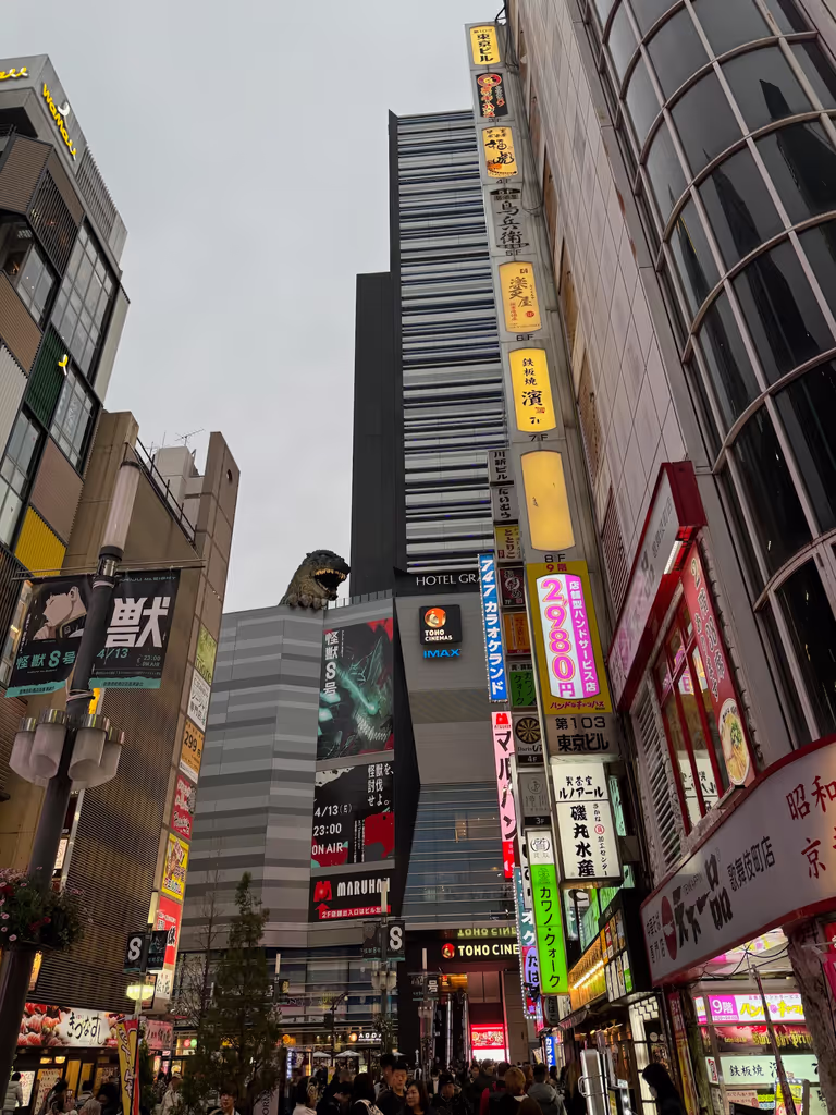 Tokyo Private Tour - Shinjuku Kabukicho