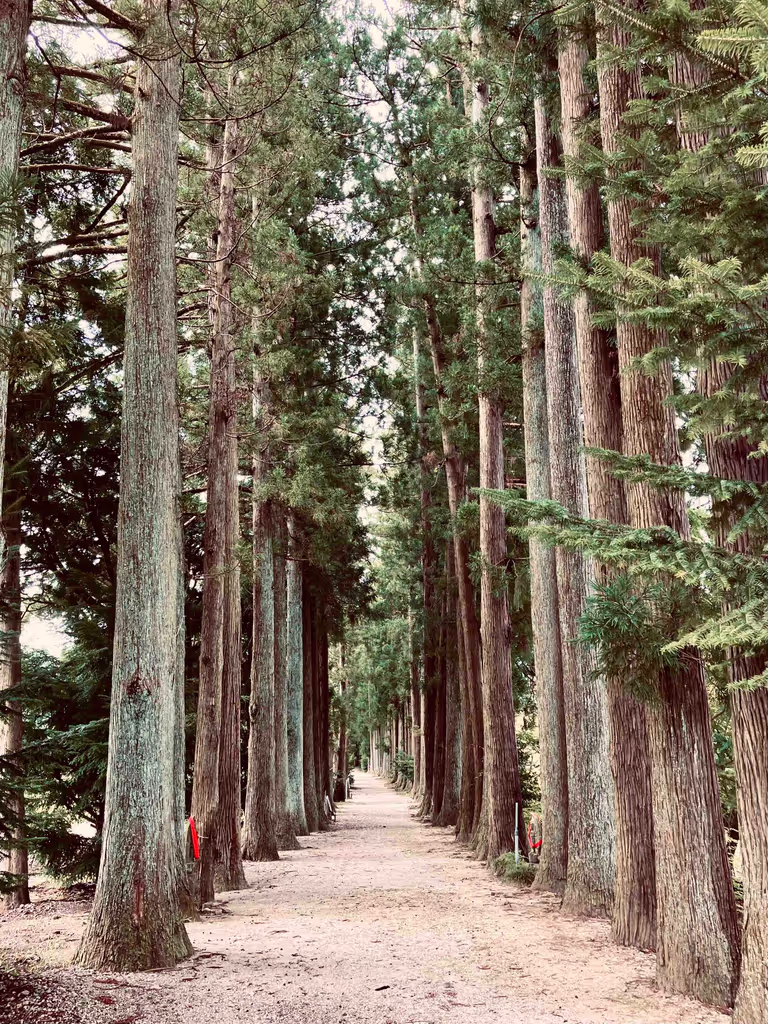 Toyama Private Tour - 