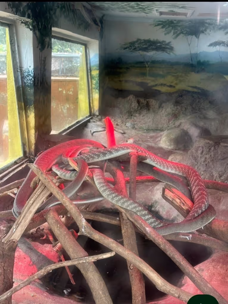 Nairobi Private Tour - 