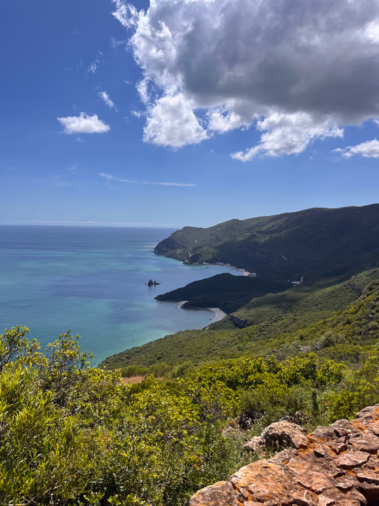 Lisbon Private Tour - I call it the best view in Portugal