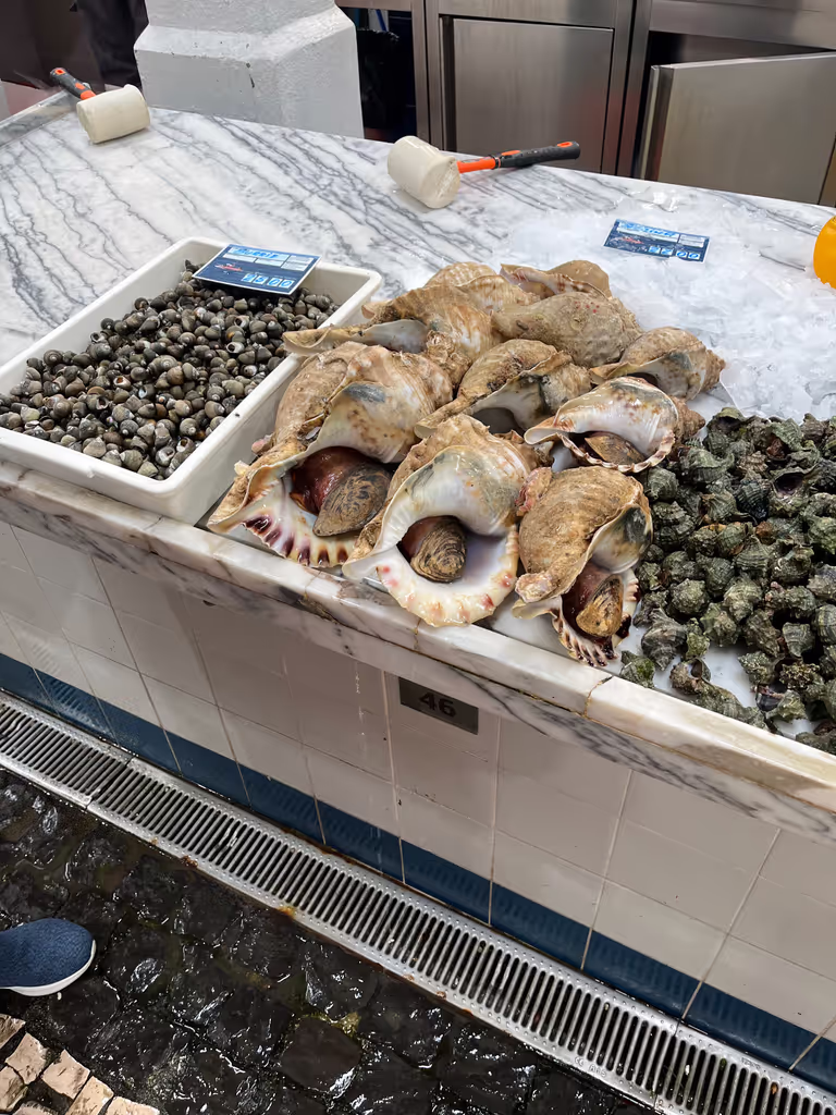 Lisbon Private Tour - Our Seafood variety