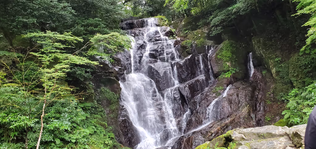 Fukuoka Private Tour - 