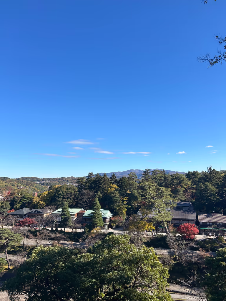 Kanazawa Private Tour - Ruins of Ushitorayagura turret