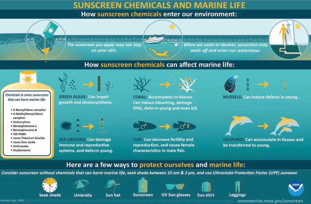 Tulum Private Tour - 