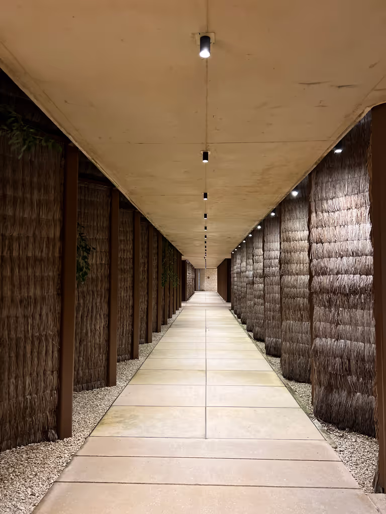 Tulum Private Tour - 