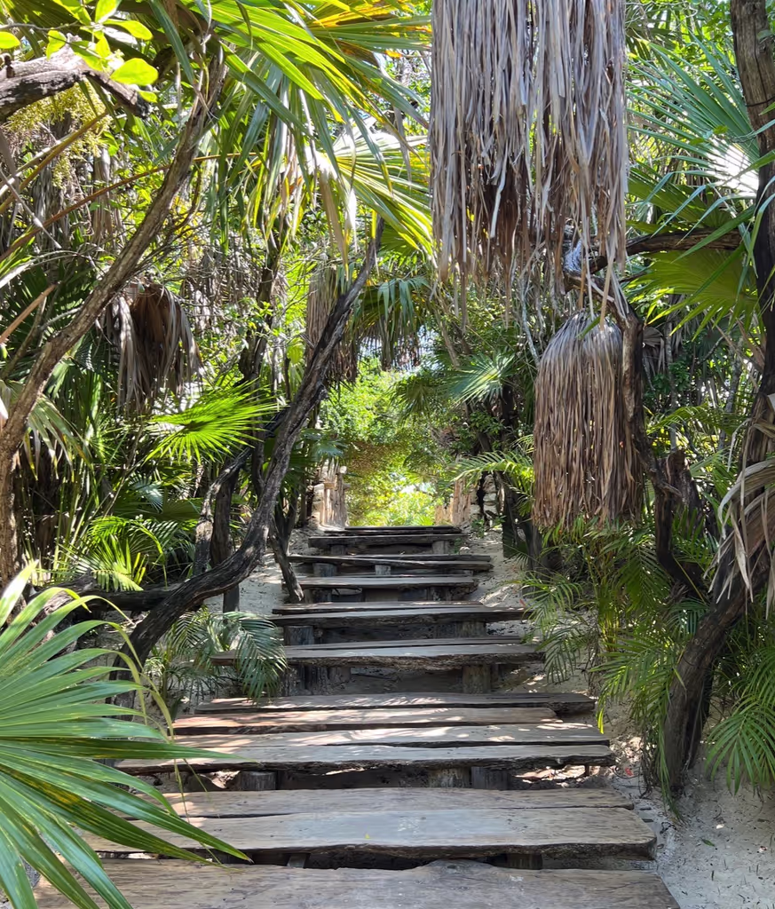 Tulum Private Tour - 