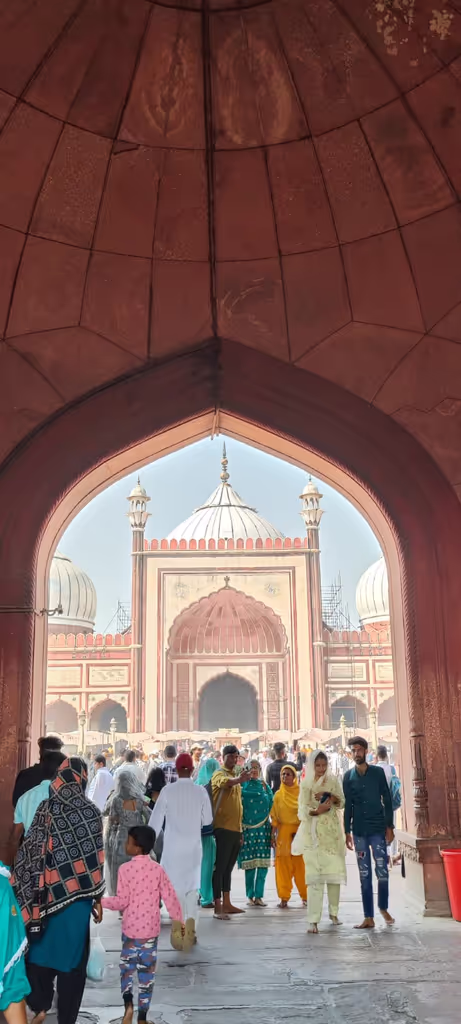 Delhi Private Tour - Gateway of Jama Mosque