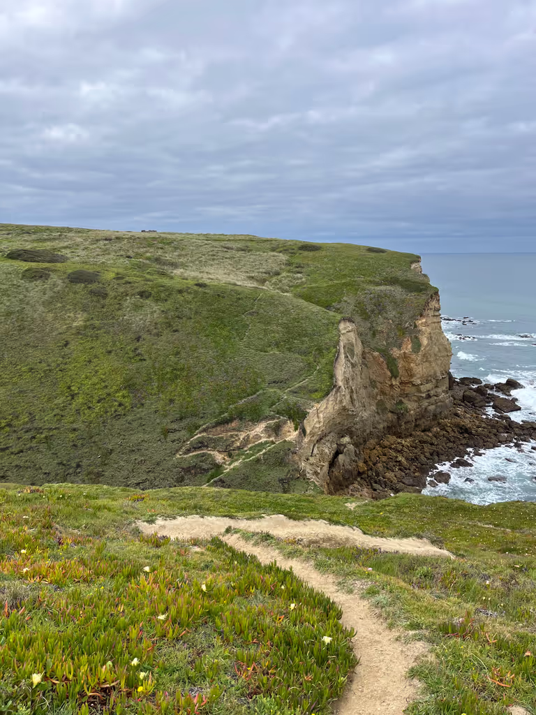 Setubal Private Tour - 