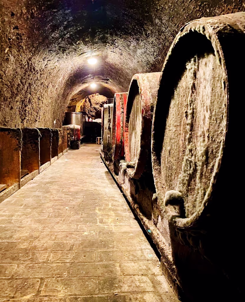 Budapest Private Tour - Cellar