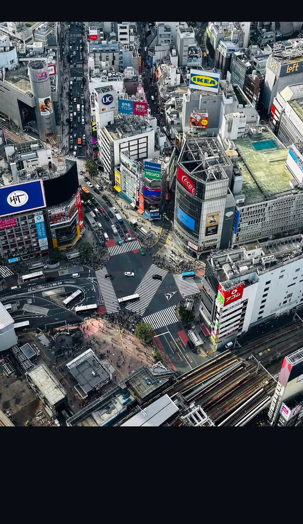 Tokyo Private Tour - 