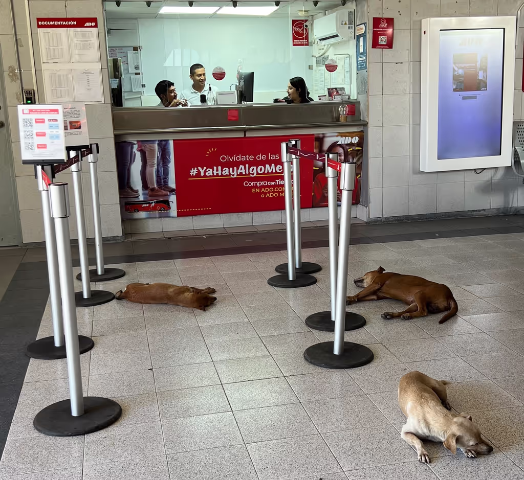 Tulum Private Tour - 