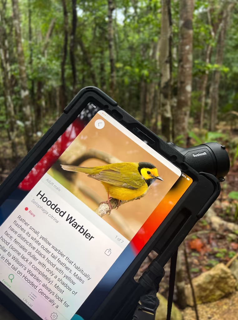 Tulum Private Tour - 