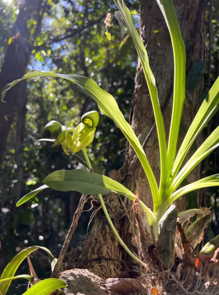 Tulum Private Tour - 