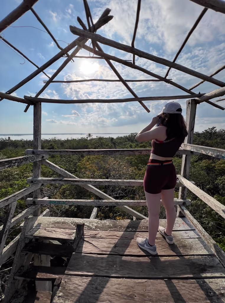 Tulum Private Tour - 