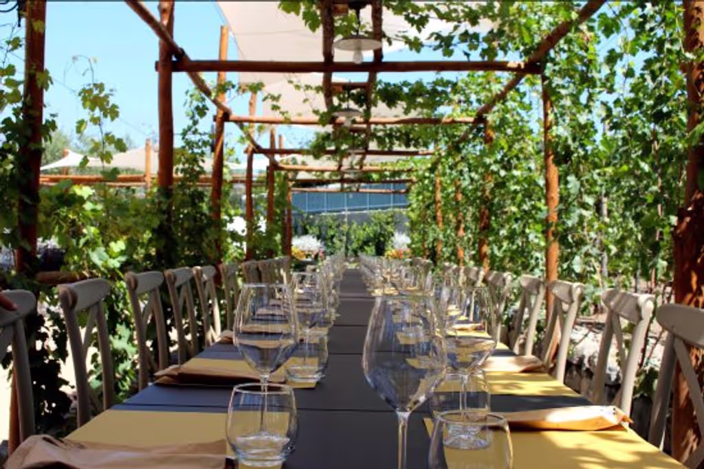 Naples Private Tour - Winery