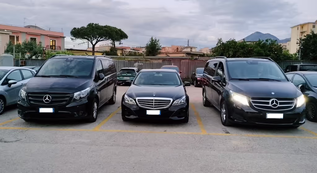 Naples Private Tour - Mercedez Benz