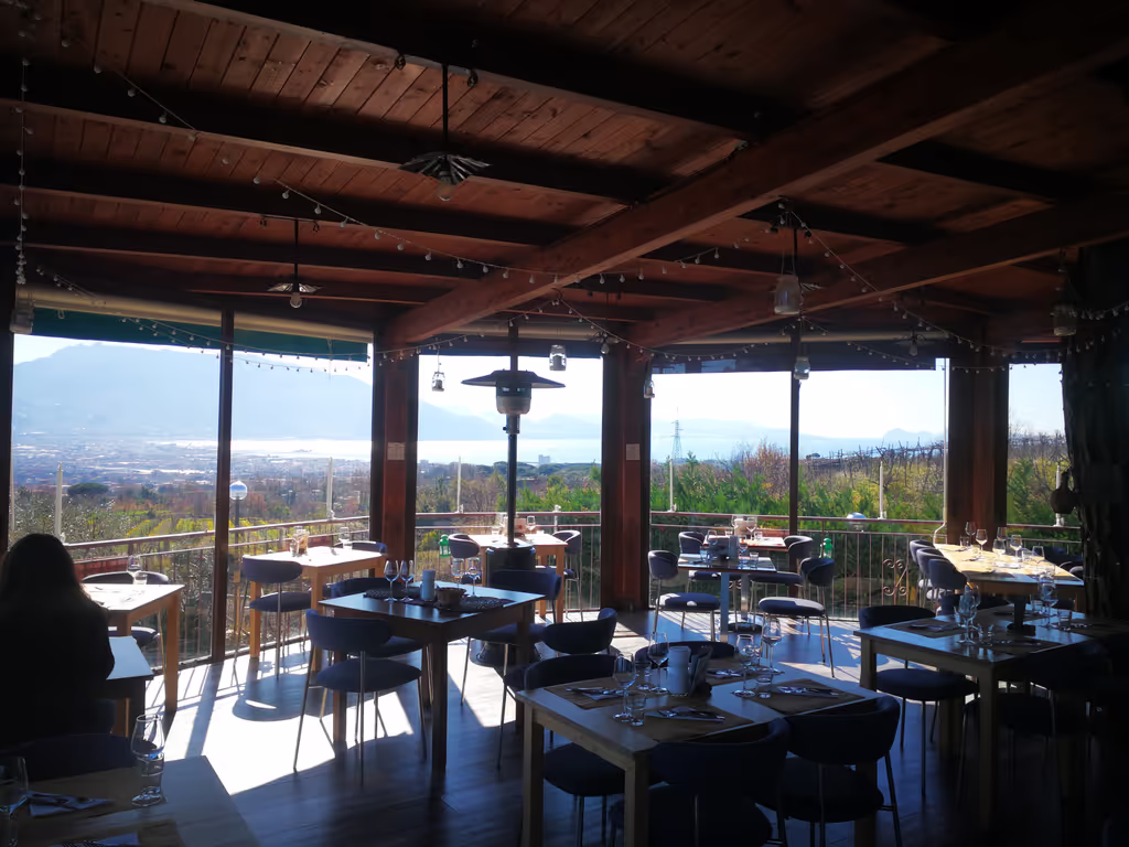 Naples Private Tour - Winery