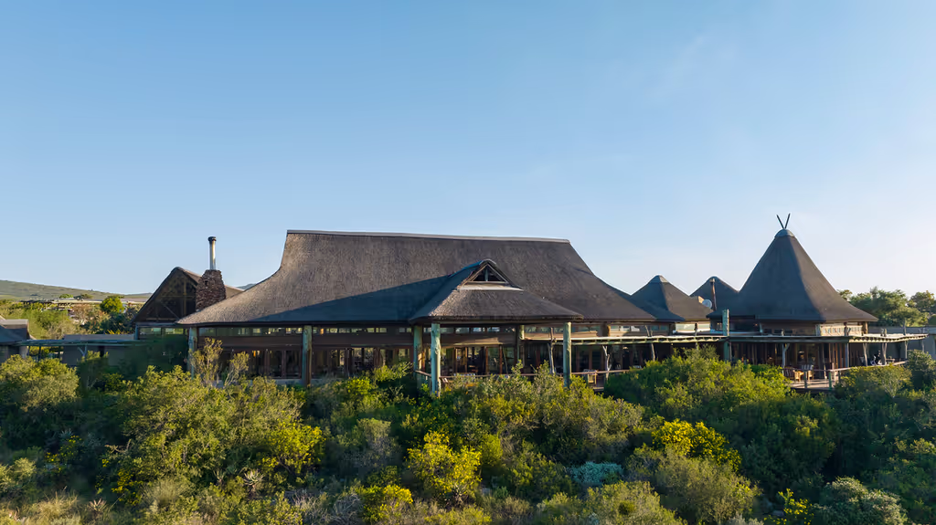 Cape Town Private Tour - 