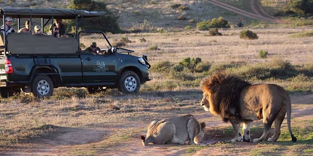 Cape Town Private Tour - 