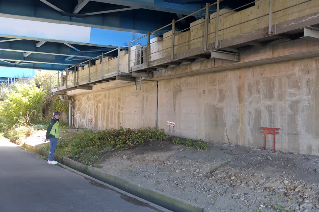 Toyama Private Tour - torii gate