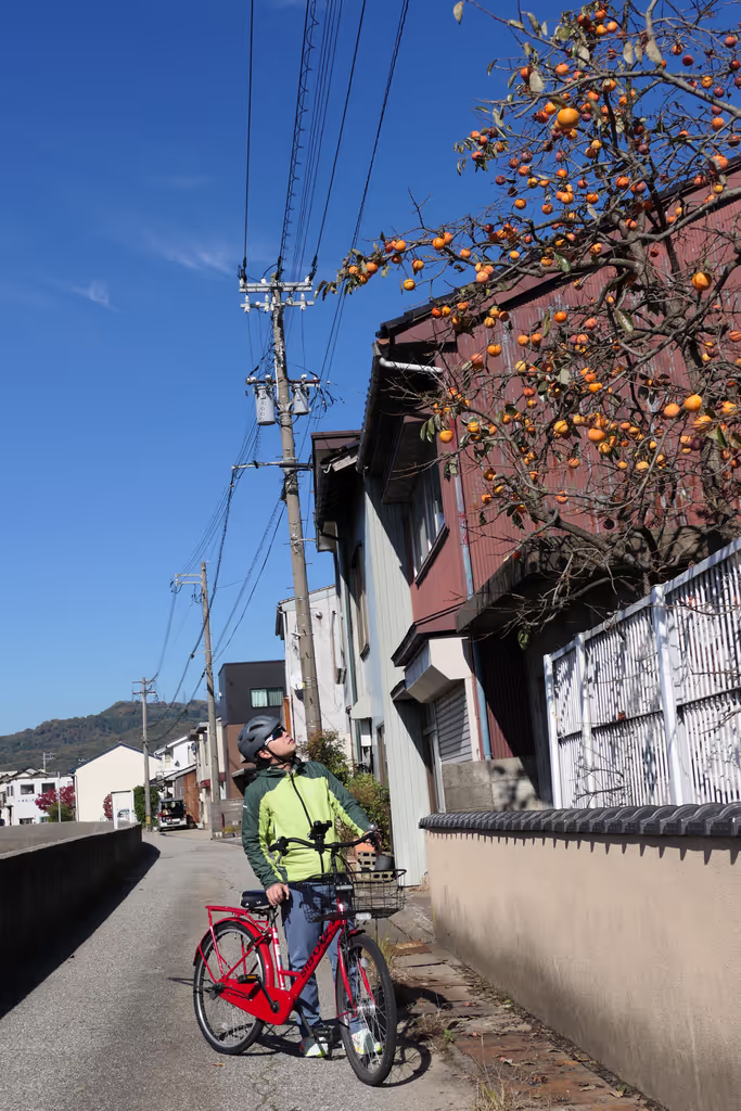 Toyama Private Tour - persimmon tree