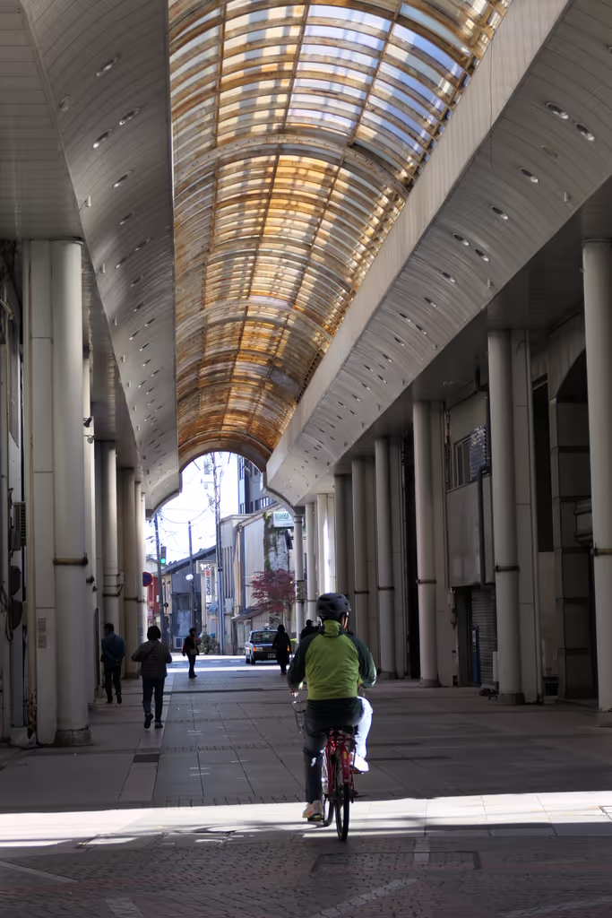 Toyama Private Tour - local street