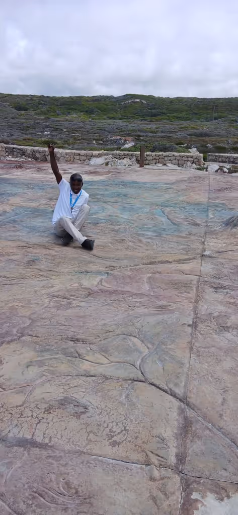 Cape Town Private Tour - 