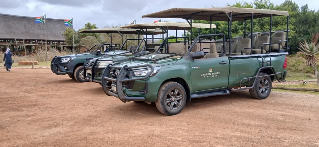 Cape Town Private Tour - 