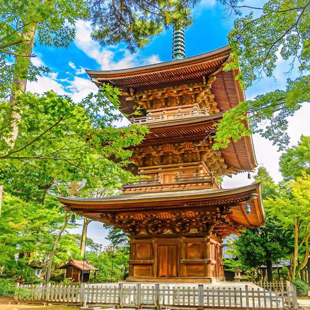 Tokyo Private Tour - 