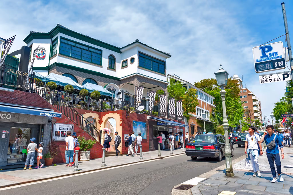 Hyogo Private Tour - 