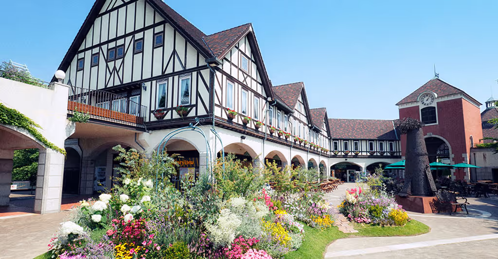 Hyogo Private Tour - 