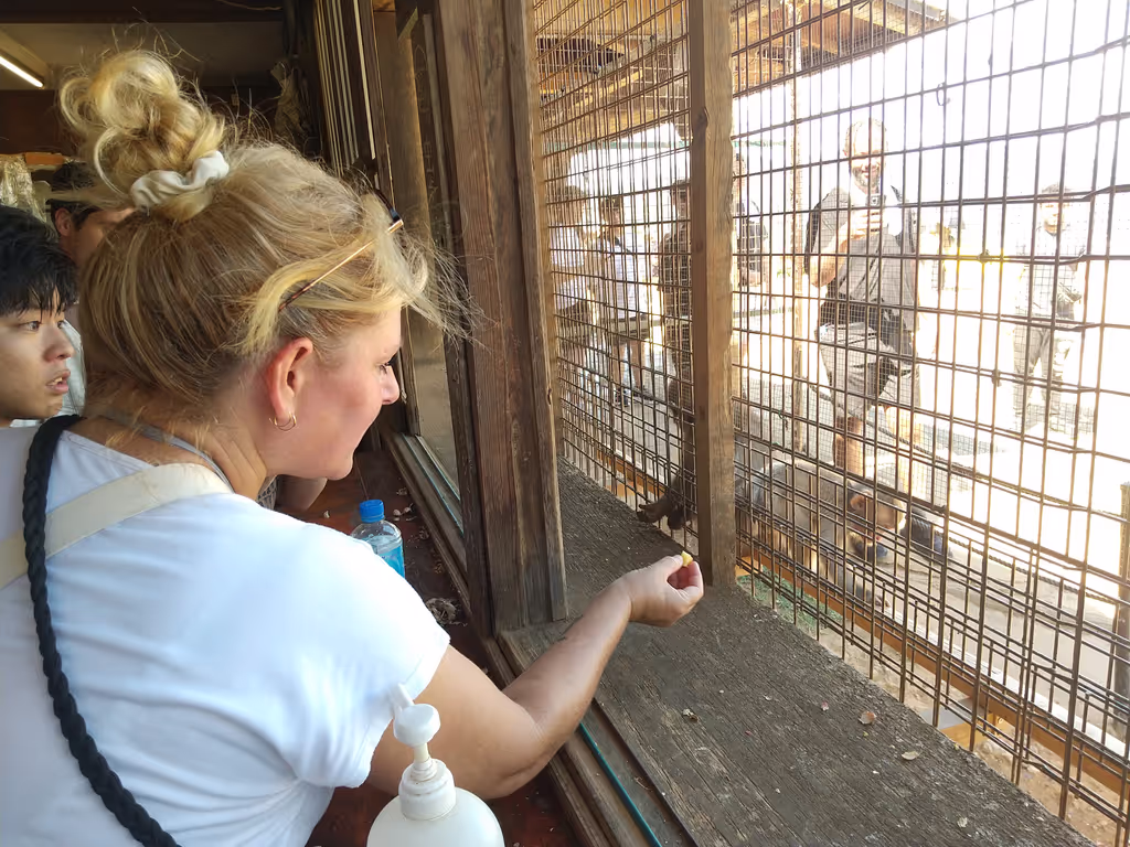 Kyoto Private Tour - Monkey Park