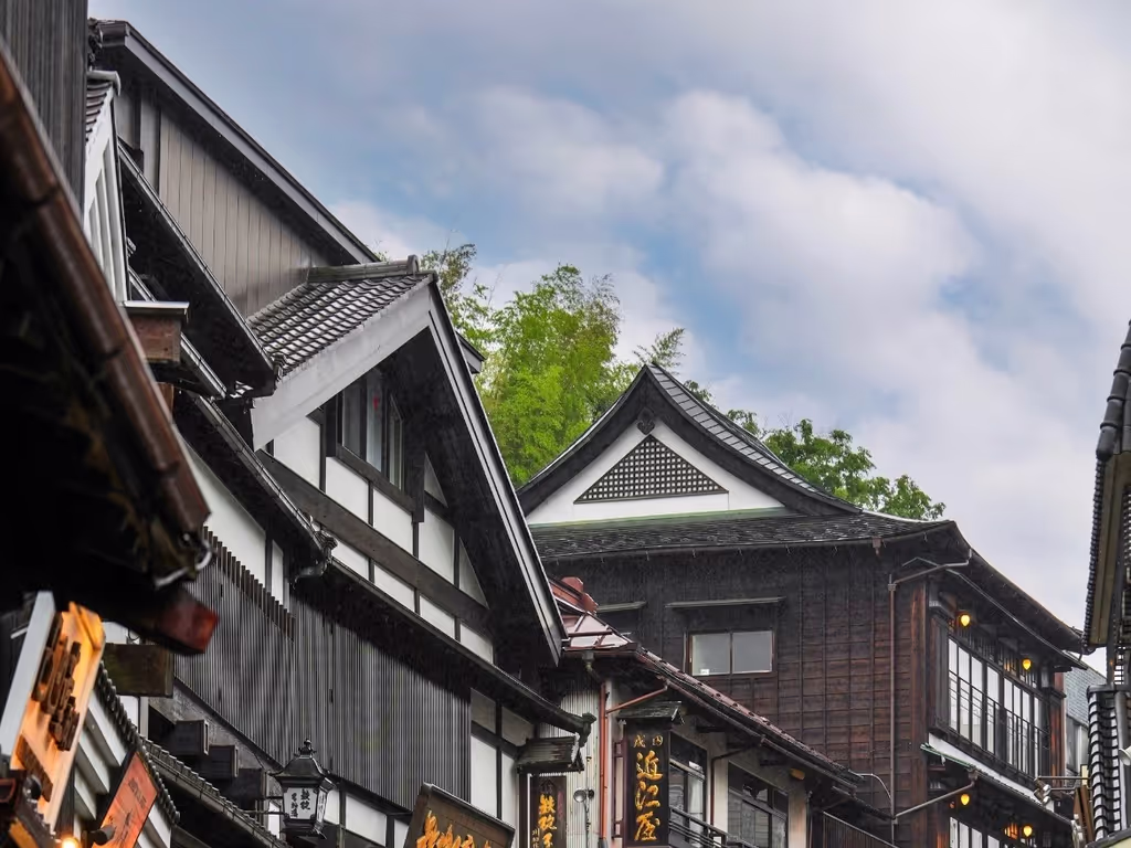 Narita Private Tour - 